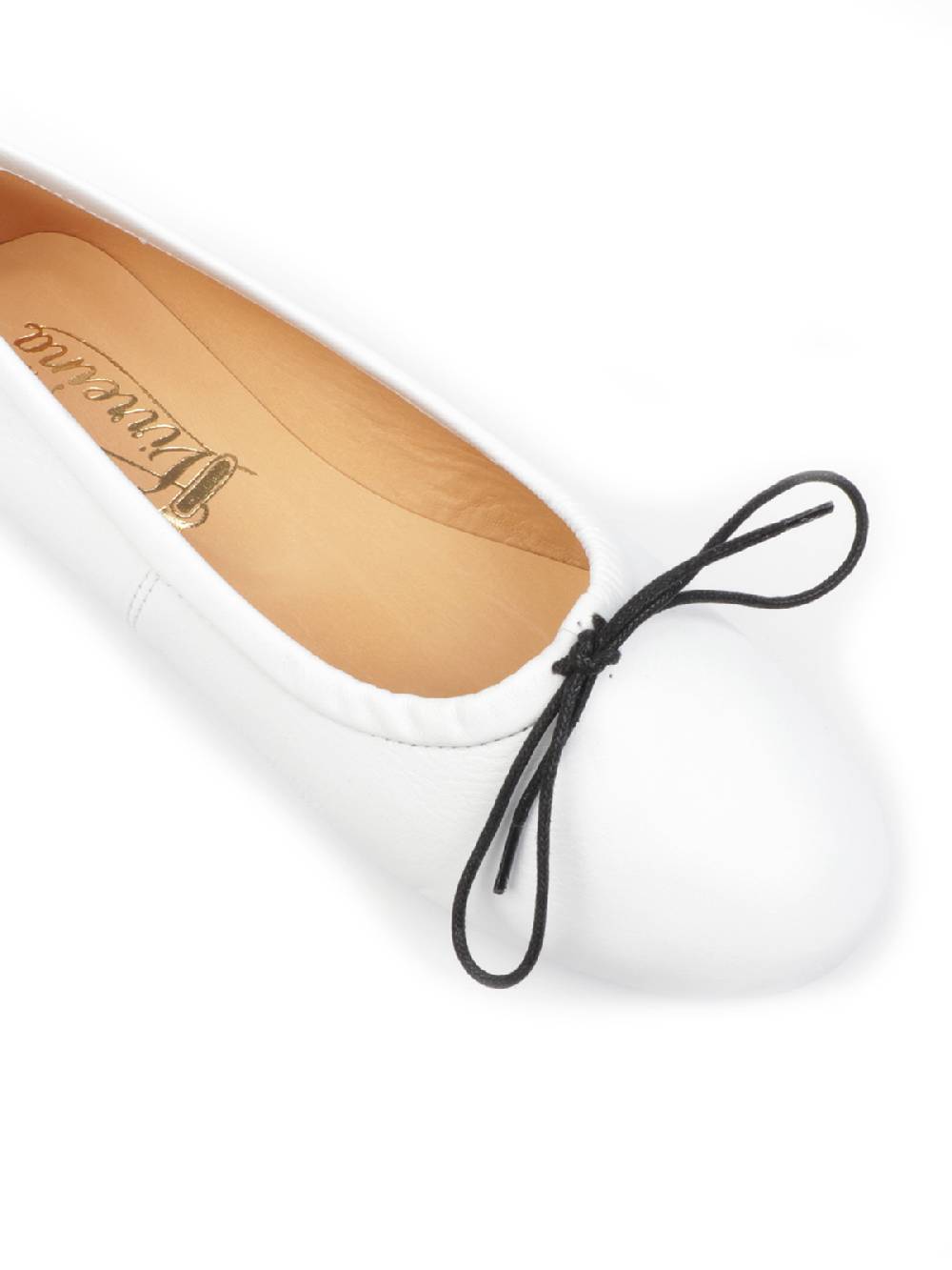 Virreina Paloma Promozione Limitata