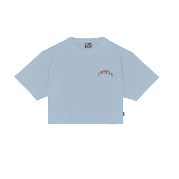 Propaganda Triangle Bengala Crop Top Tee – Sky Negozi Online